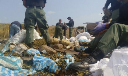 8 toneladas de droga son destruidas en Cerro Patacn