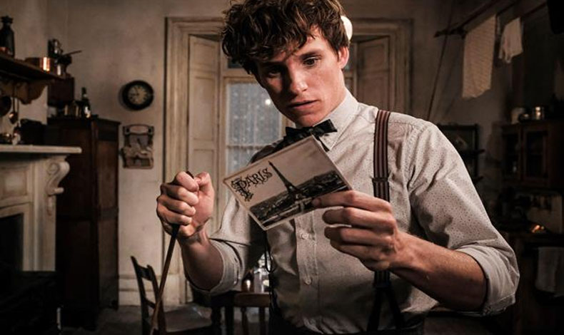 Eddie Redmayne confi su futuro en J.K. Rowling