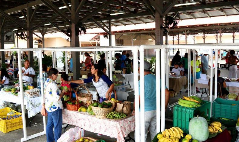 El sbado 18 se realizar el Mercado Urbano