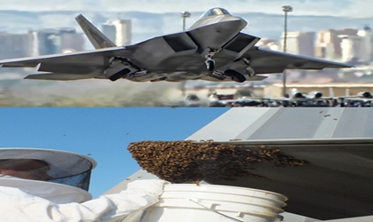 Un enjambre de abejas neutraliza un caza F-22 Raptor