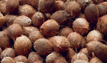 En Ro indio de la Costa Abajo ser el sitio que se realizar la feria del Coco