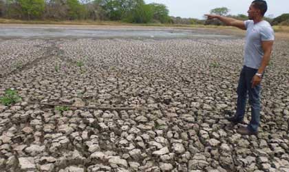 Agricultores y ganaderos  anuncia nueva sequia