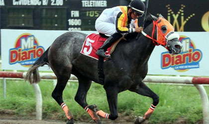 Gatillo busca mantenerse invicto