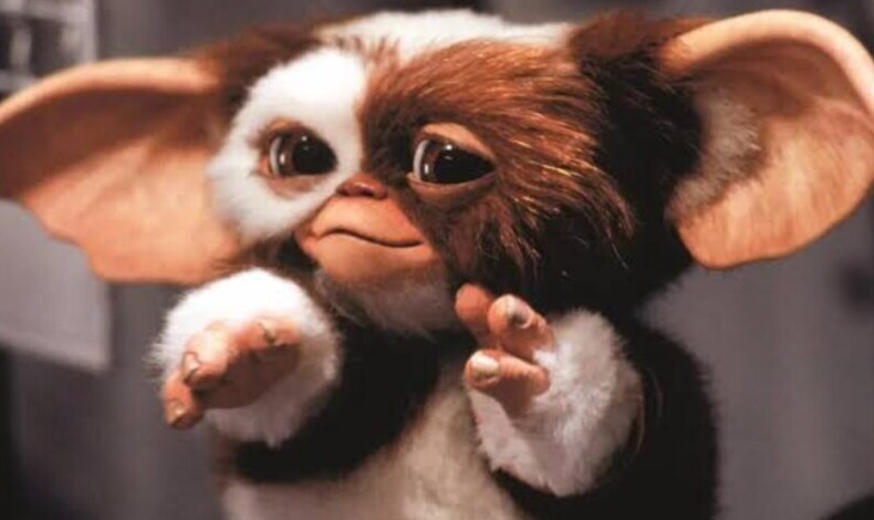 Revelan concept-art de la serie precuela de Gremlins de HBO Max ...