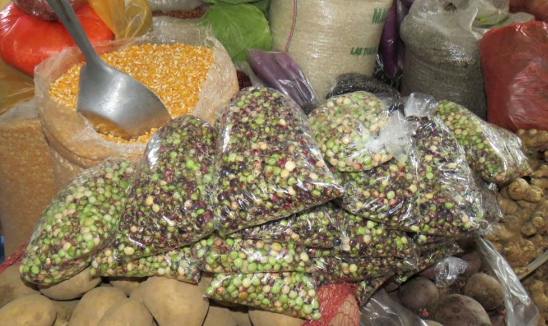 Productores locales denuncian presencia de guand trado del Per