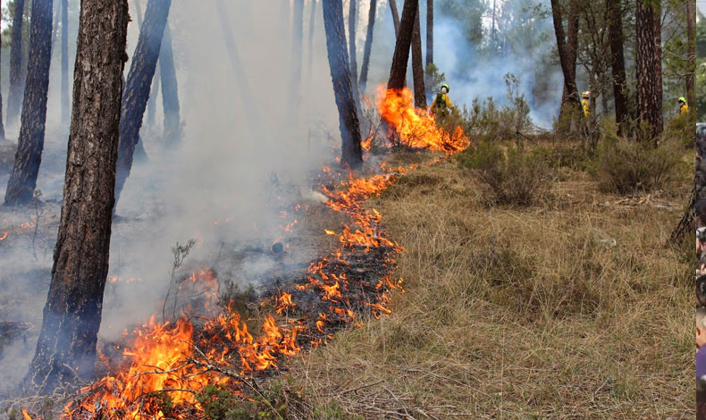 Bomberos logran controlar incendio registrado en Volcn