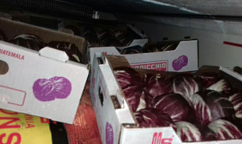 Inspeccionan contenedor con alimentos no declarados y sin permiso sanitario