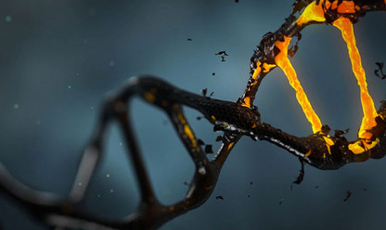 Codifican muestra de ADN capaz de infectar con malware a m�quinas que la intentan procesar