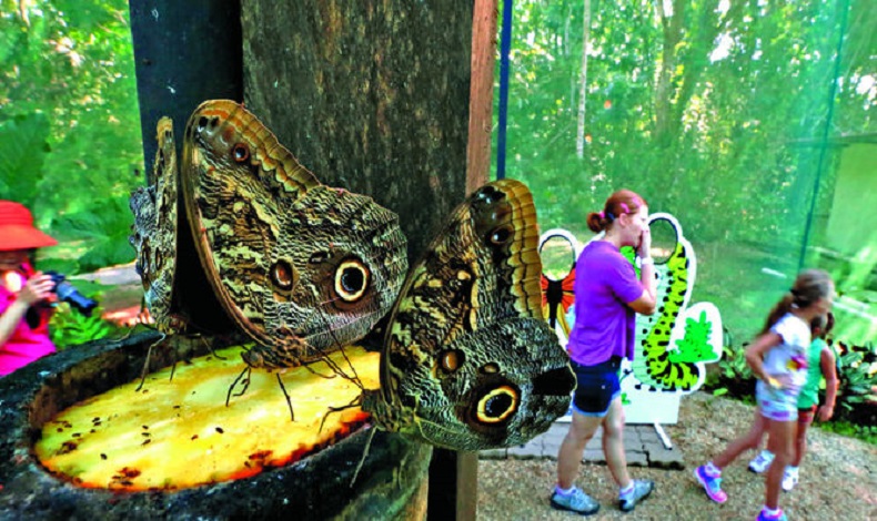 Aniversario Mariposario Metropolitano.
