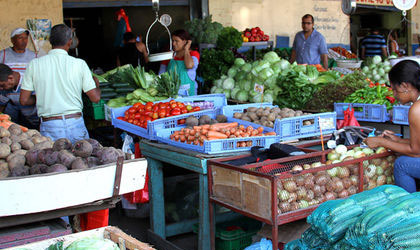 Se normaliza suministro de verduras y legumbres en el Mercado de Abastos