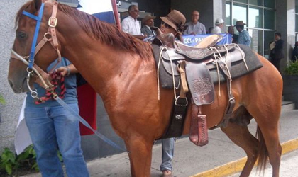 El Movimiento Ciudadano le exigi al contralor que se ponga a auditar en vez de cabalgar