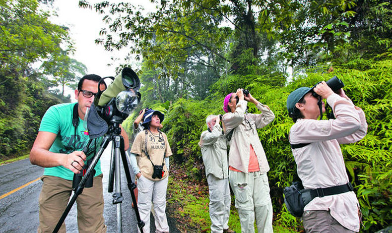 Gran Da Mundial de Observacin de Aves