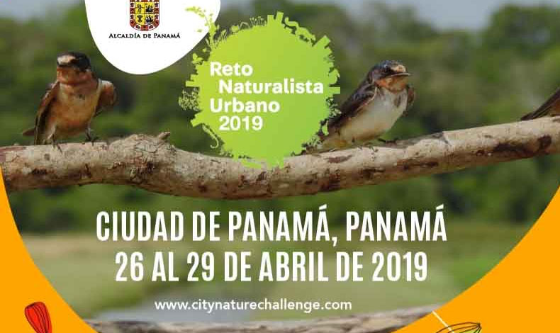 Panam se uni por primera vez al Reto Naturalista Urbano