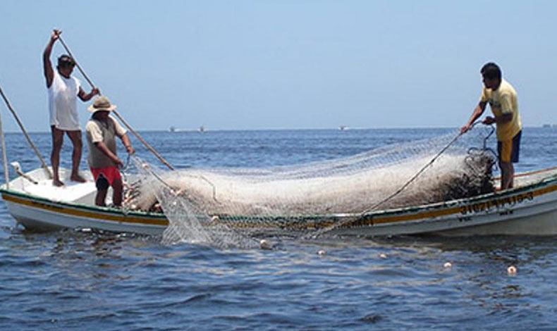 FAO estar en Panam analizando la situacin de la pesca y la acuicultura en Amrica Latina