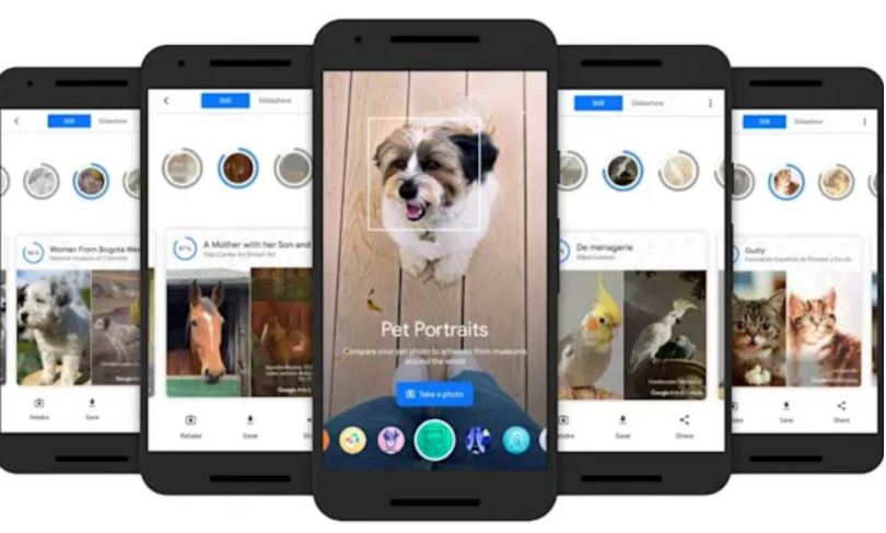 App para encontrar en Internet el Doble de tu mascota