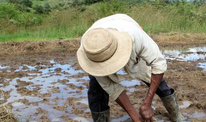 Existen discordias con los productores luego de conversar con presidente de la Rep�blica, Juan Carlos Varela