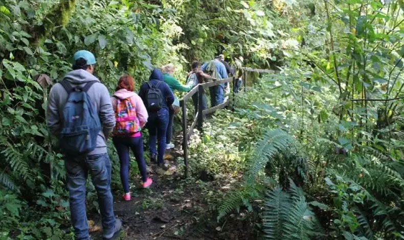 Acceso a reas protegidas en Chiriqu quedan prohibidos hasta nuevo aviso