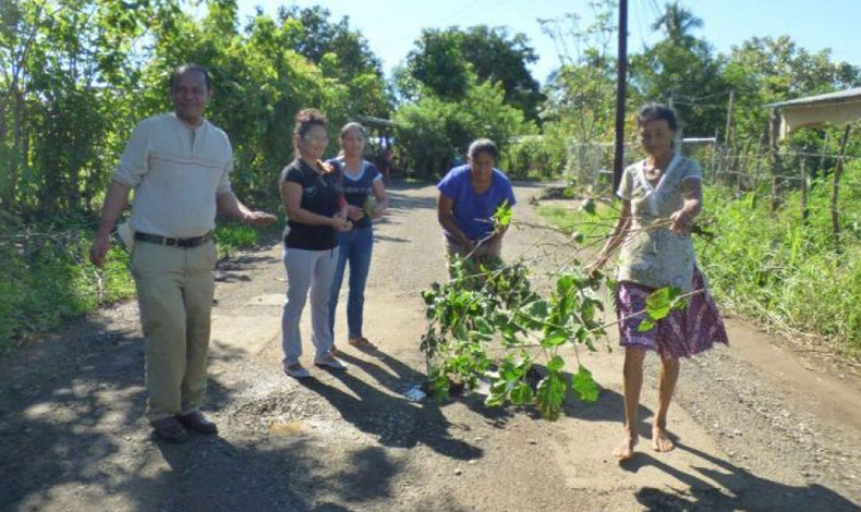 Siembran plantas en plena calle como medida de protesta