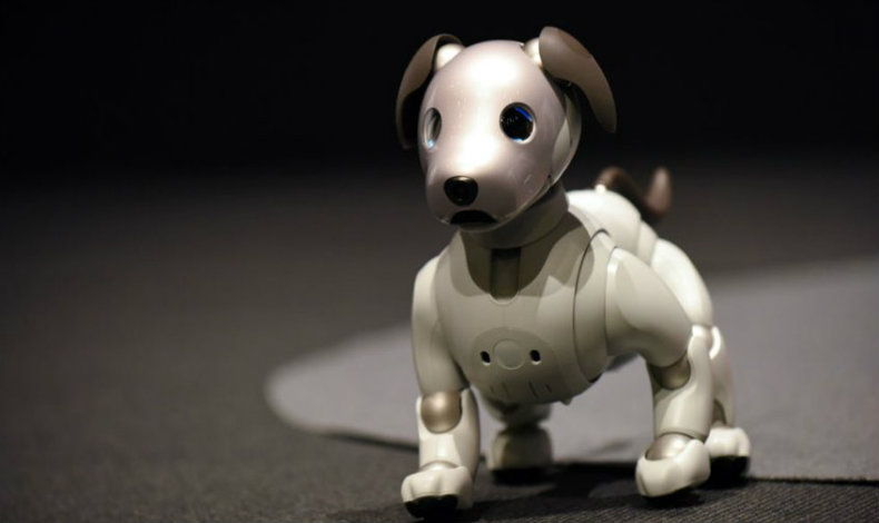 Aibo el Can robot de Sony ya tiene nueva versin