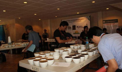 Esta por realizarse la subasta internacional del caf panameo