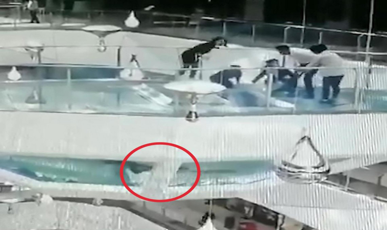 Una mujer cay a un estanque con tiburones en un centro de comercial de China