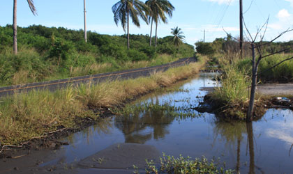 Advierten que podra desaparecer va de acceso a la poblacin de Punta Chame por fuertes olas