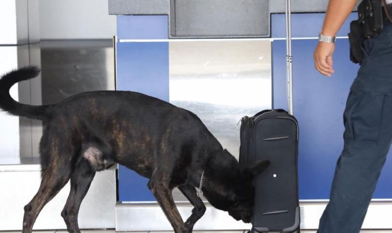 Aeropuesto de Tocumen realiz simulacro para la seguridad