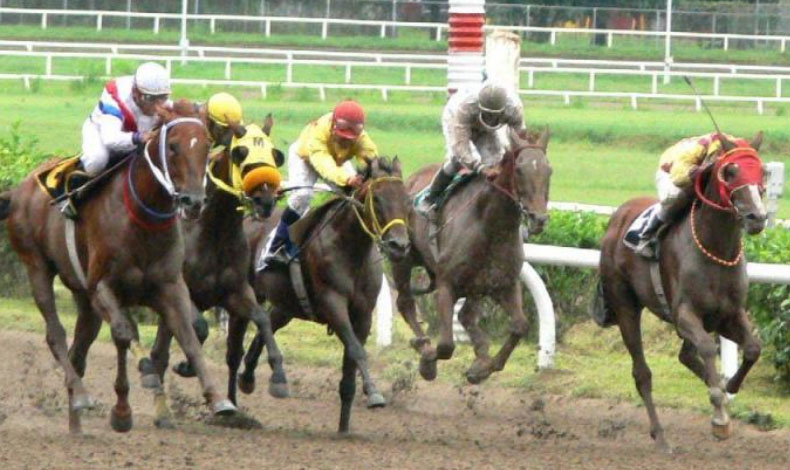 Aficionados centran su atencin en las carreras de hoy