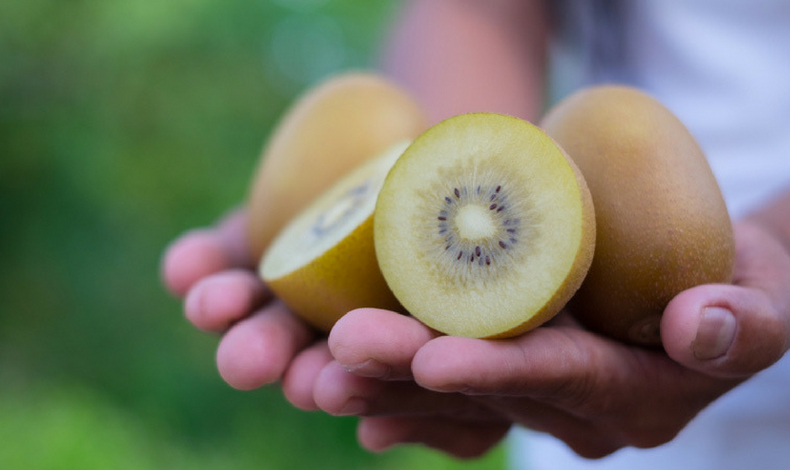 Cmo obtener colgeno de los alimentos?