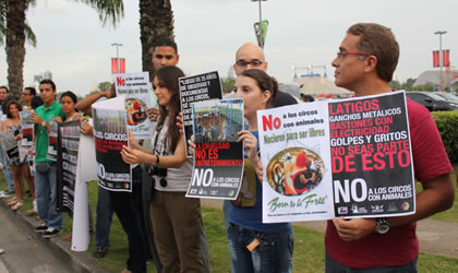 Circo con Animales