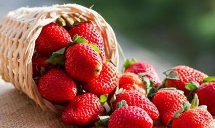 6 beneficios del consumo regular de fresas