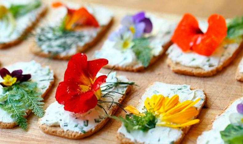 Beneficios de las flores para la salud