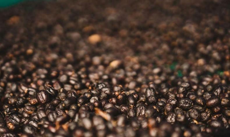 Cuatro cafs panameos fueron premiados en el Great taste Awards