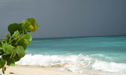 Advierten sobre marejadas en el Caribe panameo
