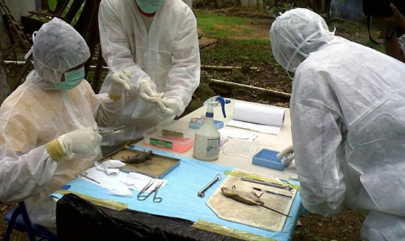 Se reportan casos de Hantavirus en escuela de Los Santos