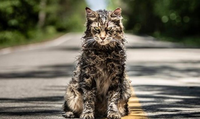 'Cementerio de animales' pretende ser la adaptacin ms terrorfica