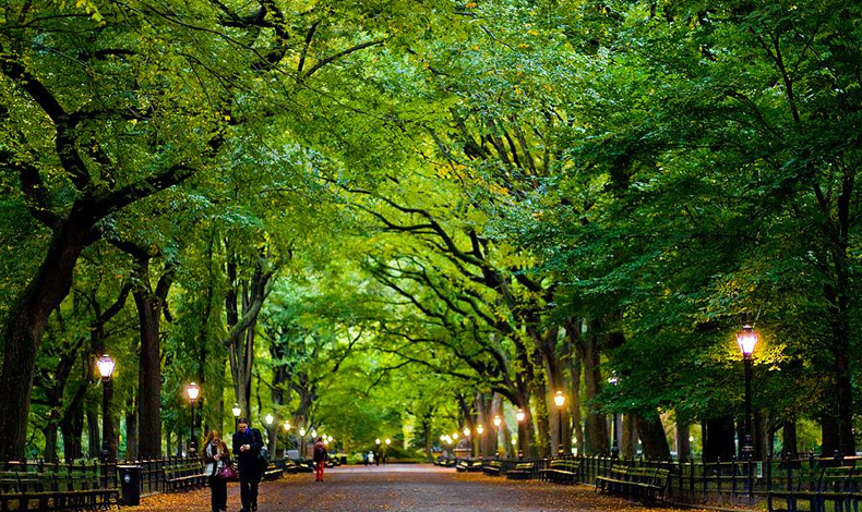 �Sabes que tanto oxigeno genera Central Park?