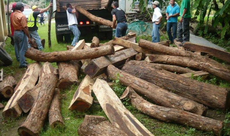 Utilizarn chip para darle seguimiento al recurso forestal