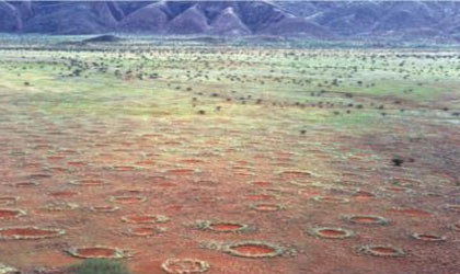 Cmo se producen los Crculos de hadas del desierto de Namibia?