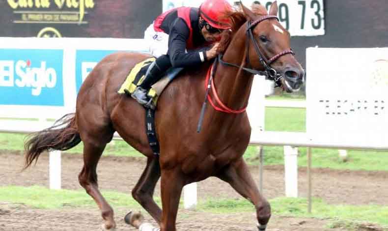 Clsico Germn Ruiz honrar a grandes personalidades del hipismo