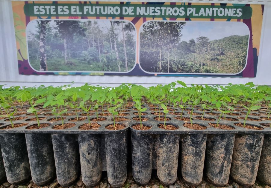 Cobre Panam y MiAmbiente trabajan por la conservacin del rea de Recursos Manejados de Donoso y Omar Torrijos Herrera