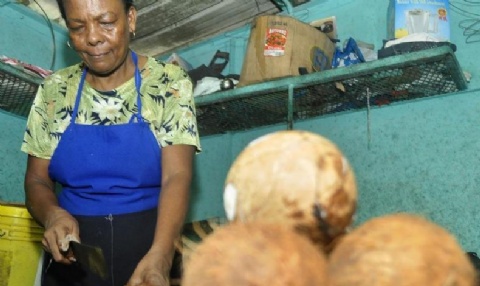 Especialistas cubanos trabajarn en conjunto con autoridades agropecuarias panameas