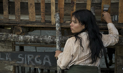 Colombia protagonizar las muestras del Cine Universitario