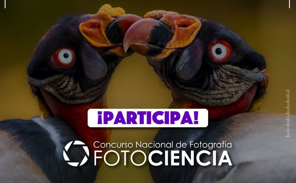 La Senacyt lanza el Concurso Nacional de Fotografa Cientfica FotoCiencia 2024