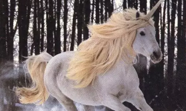 Corea del Norte 'certific' la existencia de los unicornios con descubrimiento