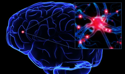 Cuntas neuronas mueren en un da?