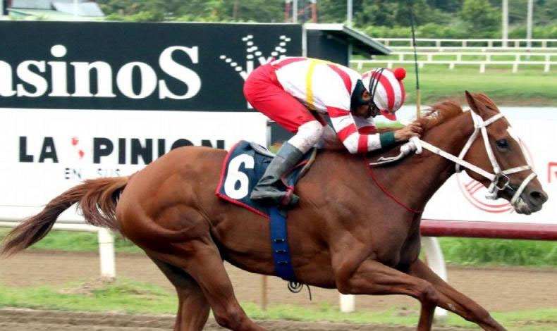 Panam elige a sus representantes para el evento Dama del Caribe