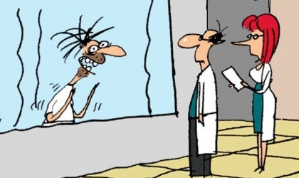 Diseadores grficos LOL
