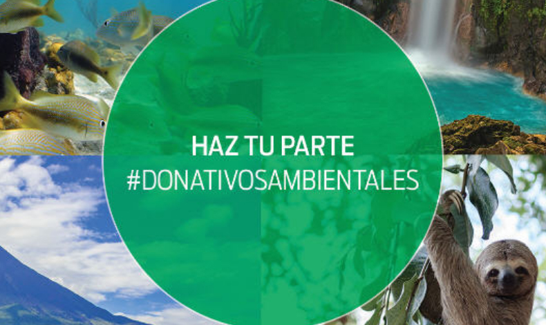 Ford abre la convocatoria �Donativos Ambientales�
