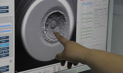 Especialistas en medicina reproductiva de Panam registran avances en el seguimiento de embriones